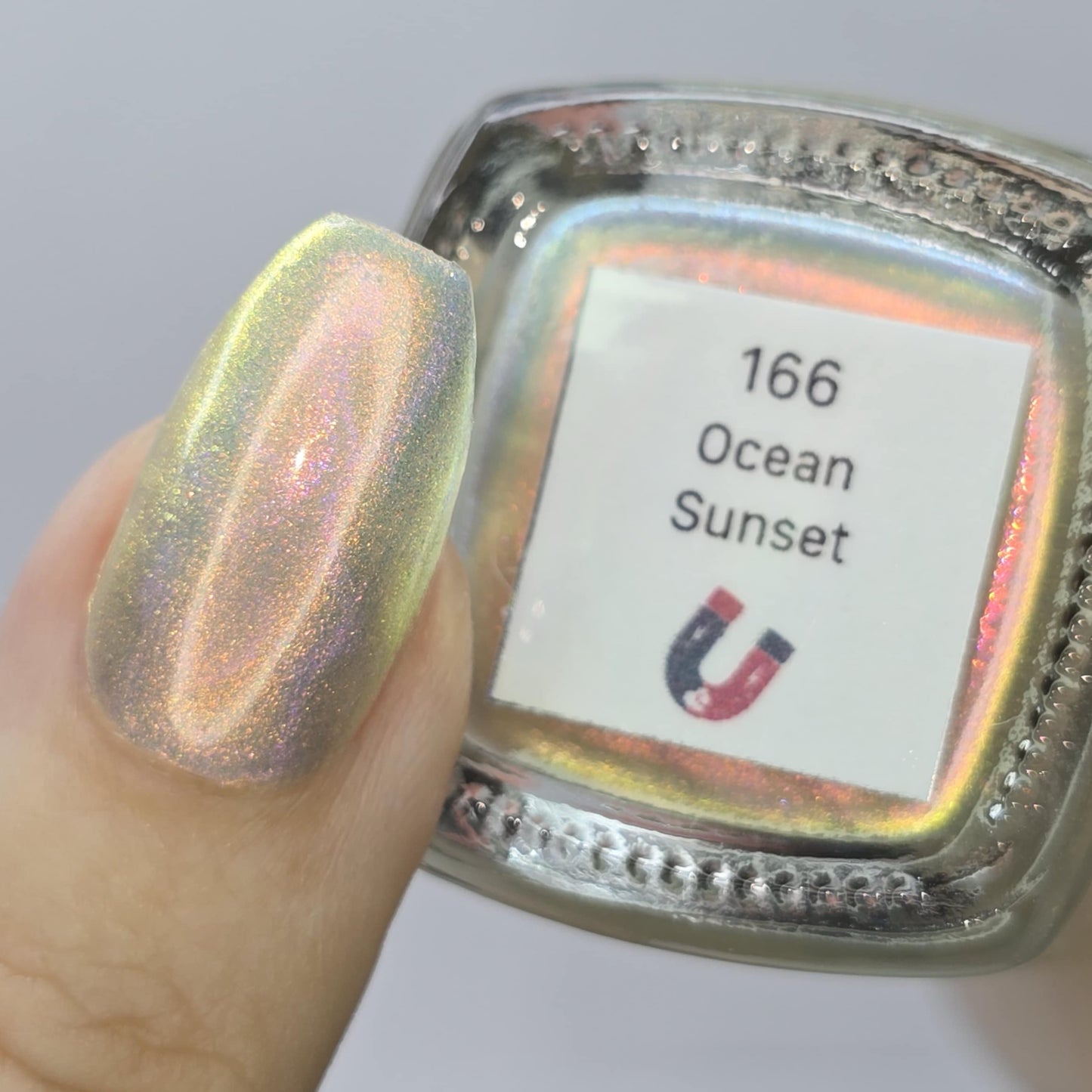 Ocean Sunset