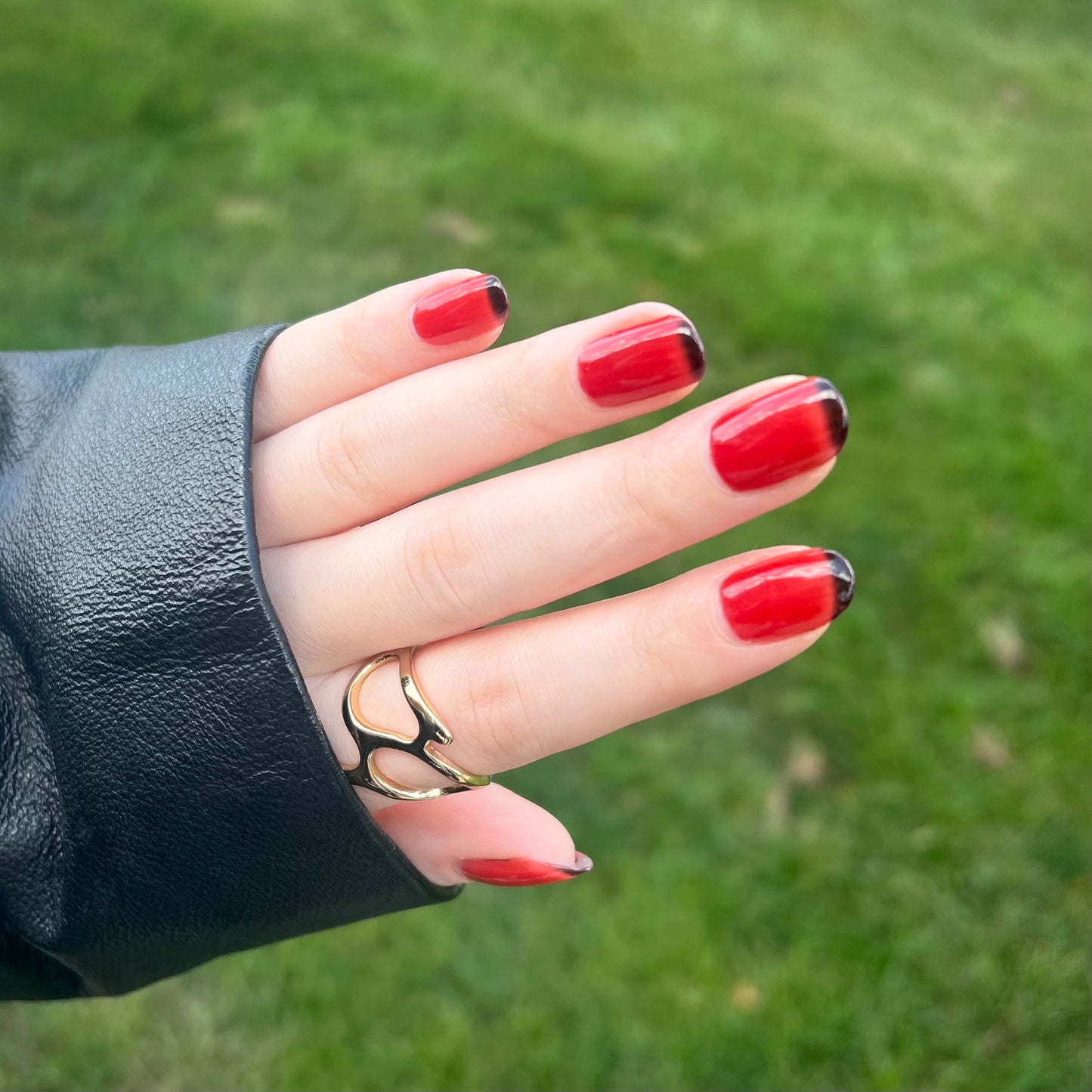 Crimson Shadow