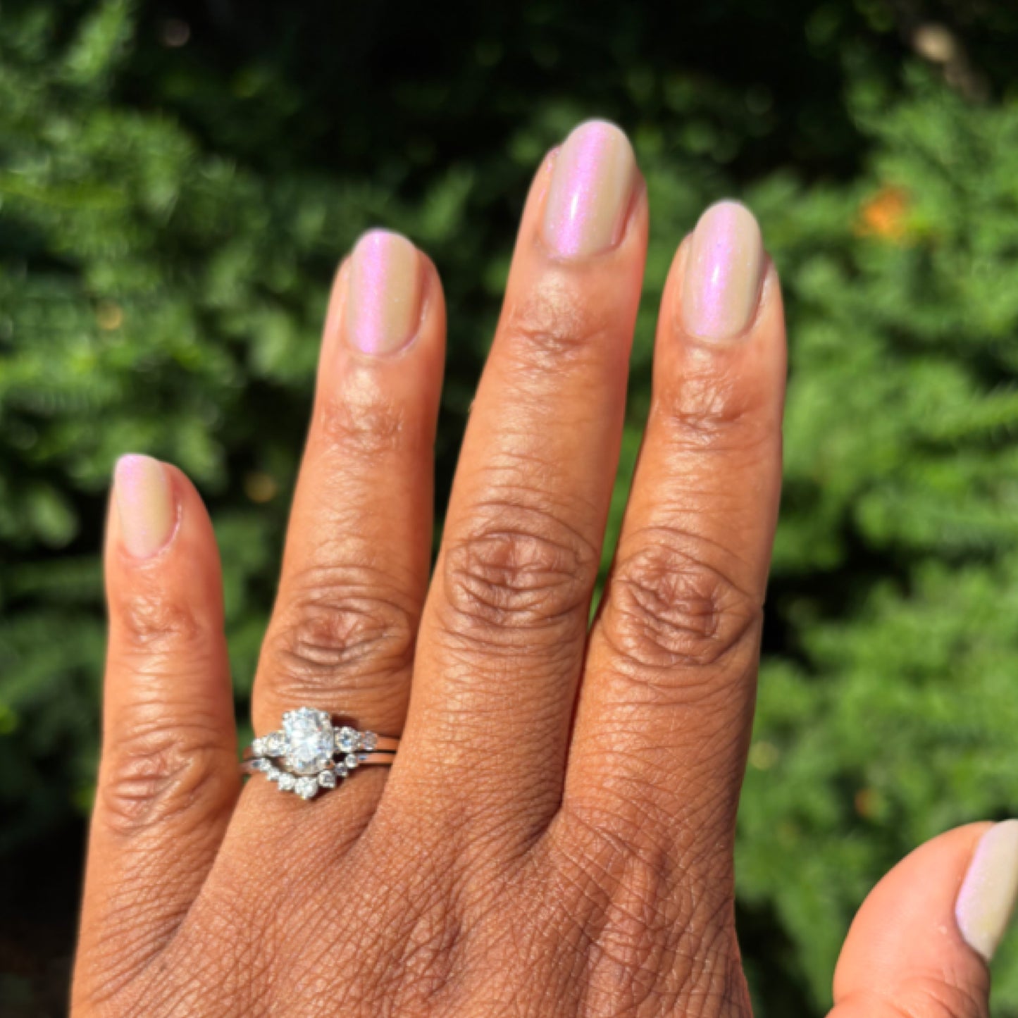 What in Tarnation Happened Here?