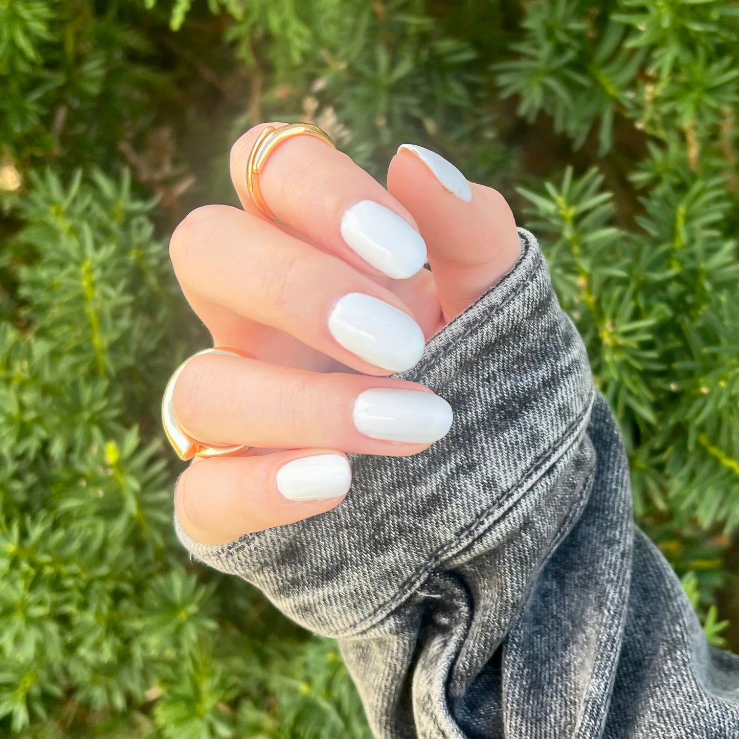 Blanca