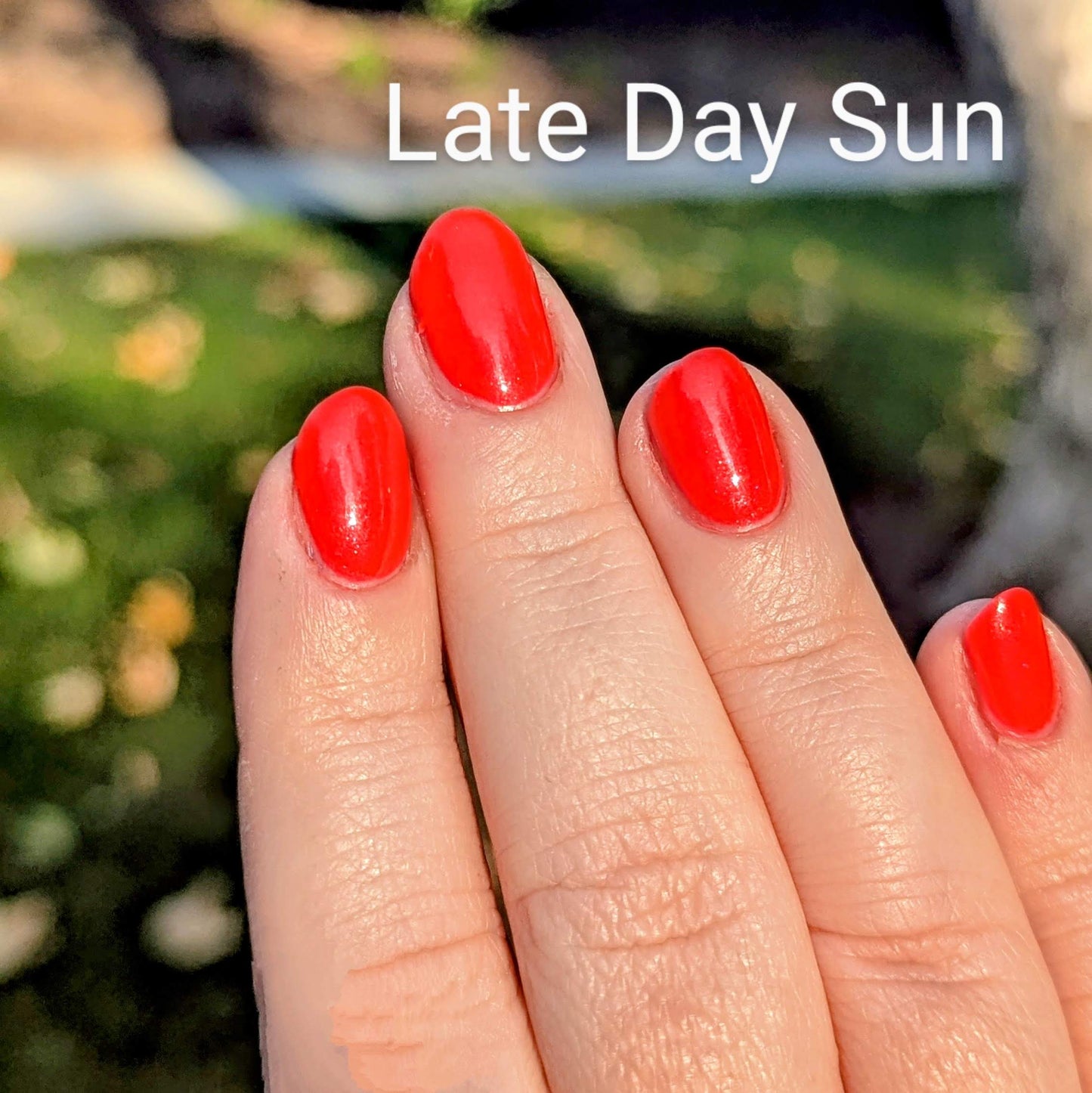 Main Character Energy