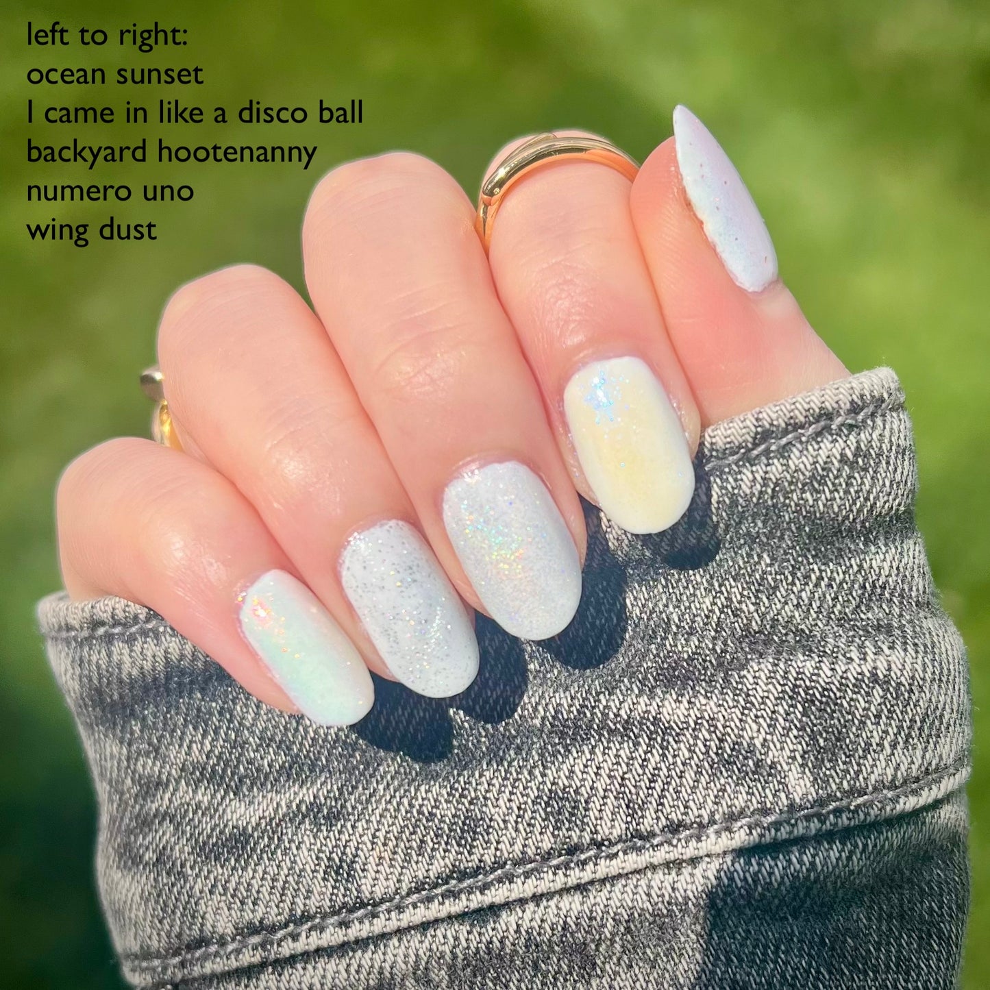 Wing Dust