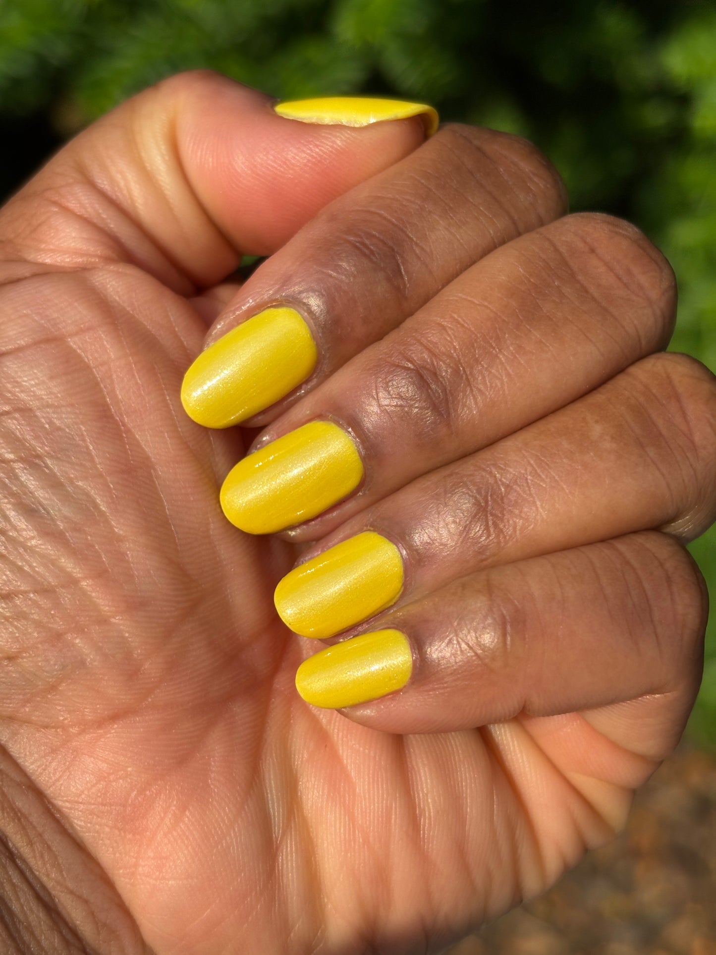 Tilting At Windmills