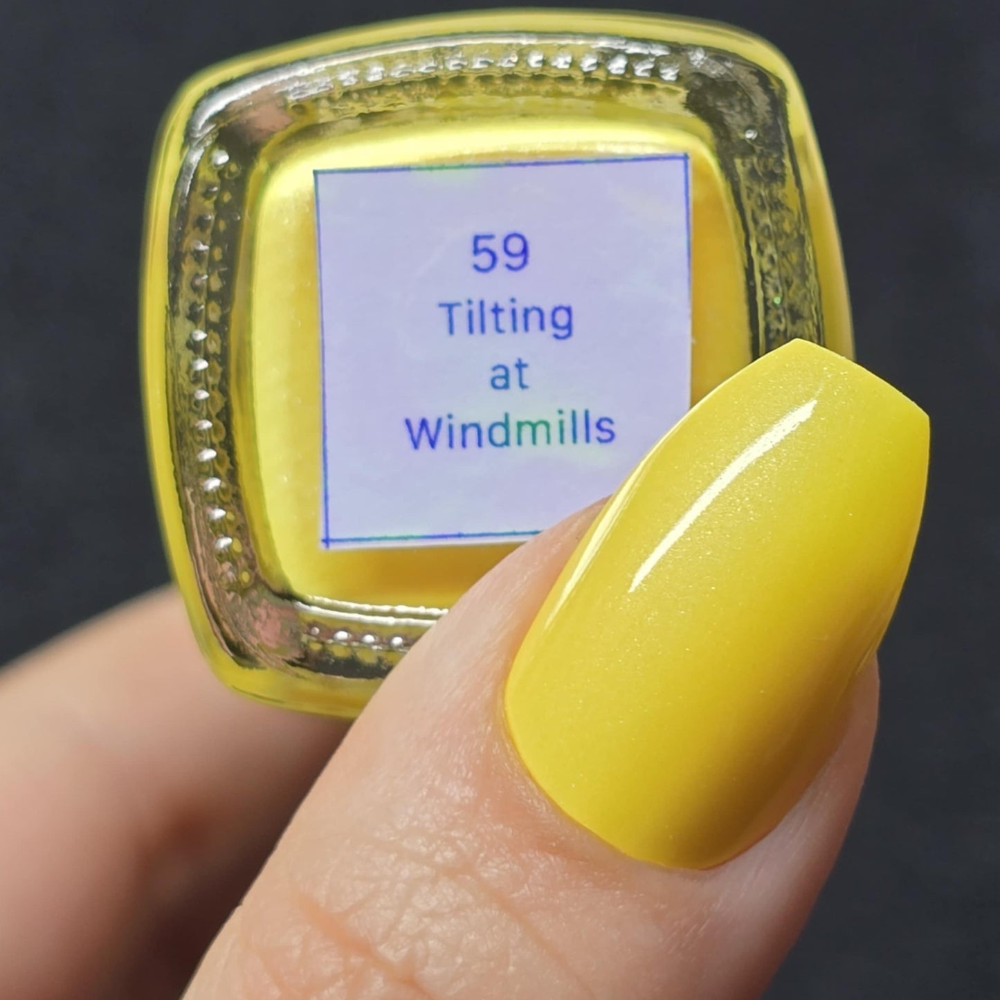 Tilting At Windmills