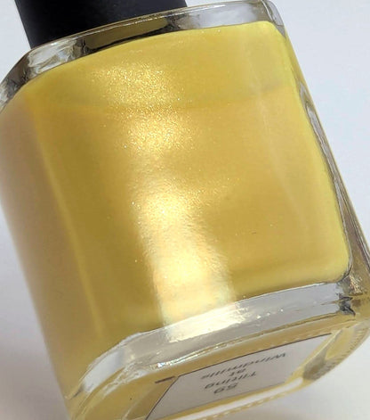 Tilting At Windmills