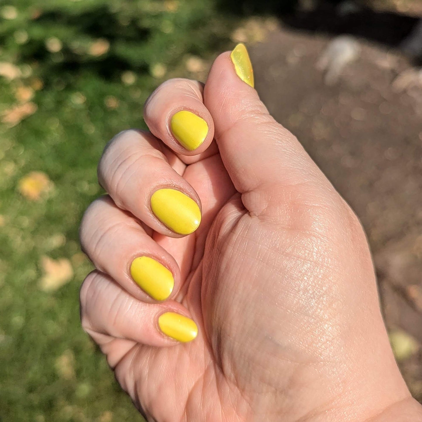 Tilting At Windmills