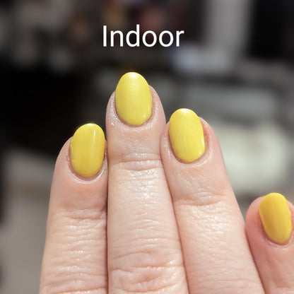 Tilting At Windmills