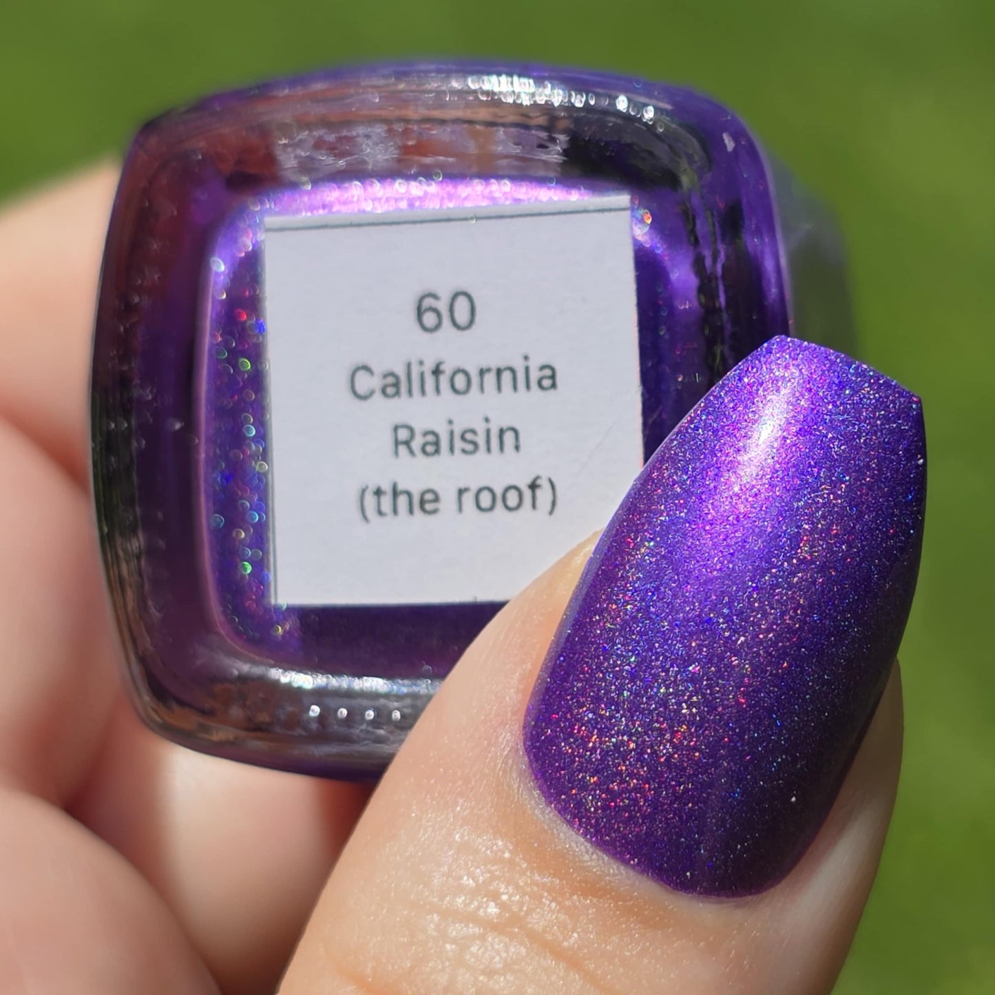 California Raisin (The Roof!)