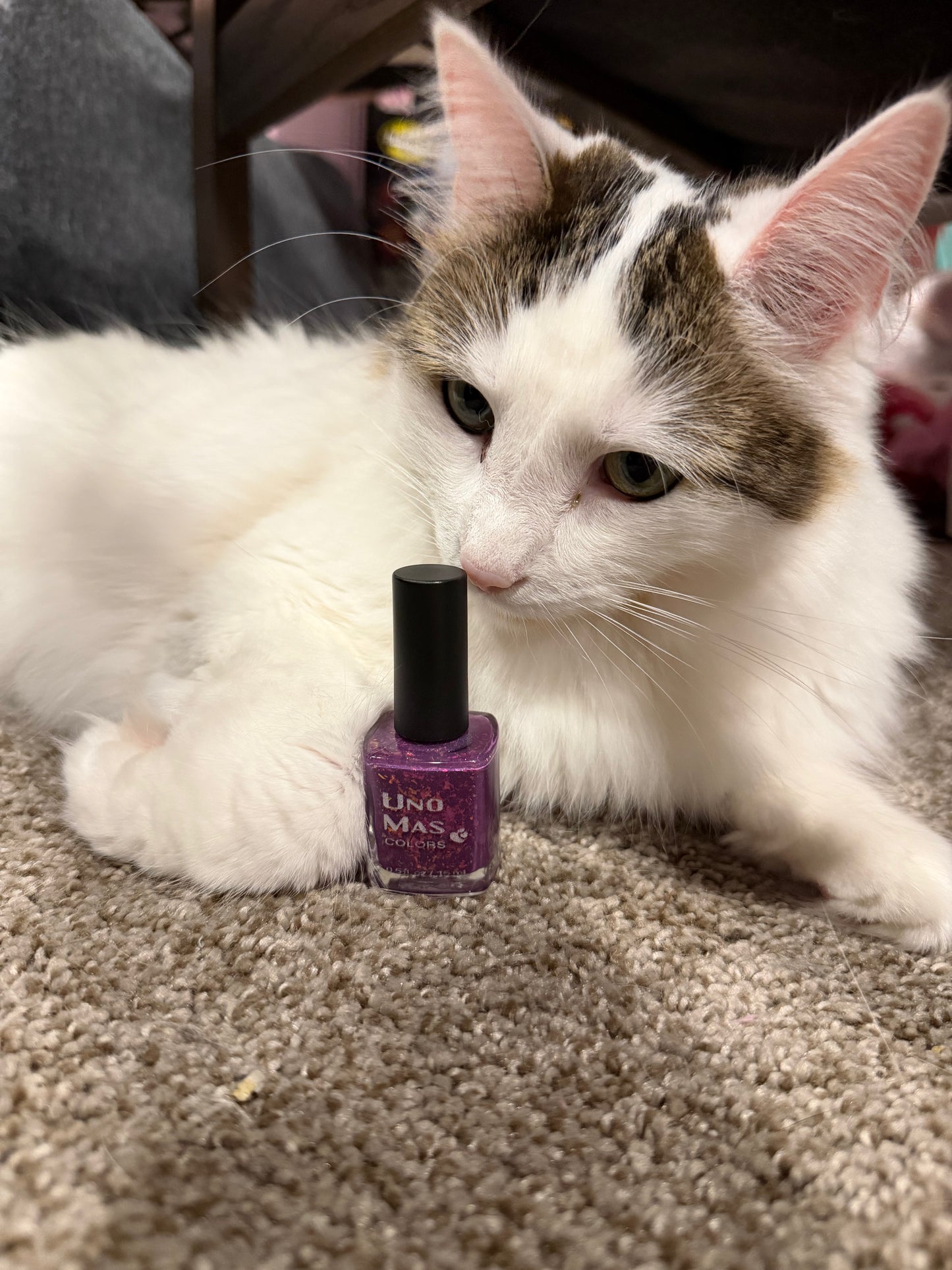 Charity Polish Duo - Animal Rescue