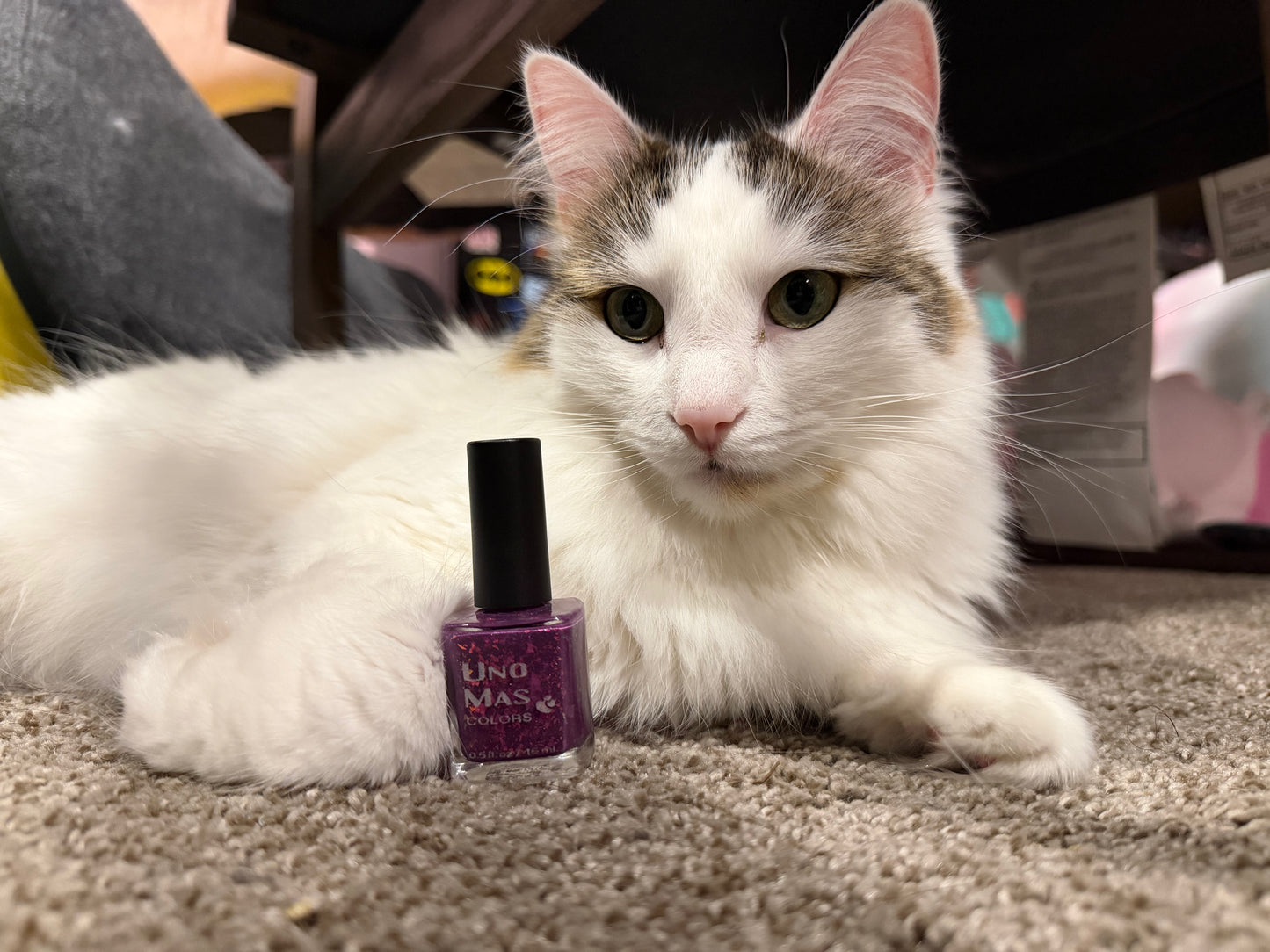 Charity Polish Duo - Animal Rescue