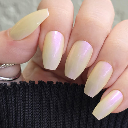 What in Tarnation Happened Here?