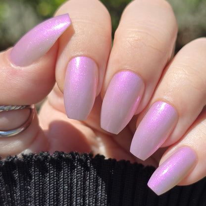 What in Tarnation Happened Here?