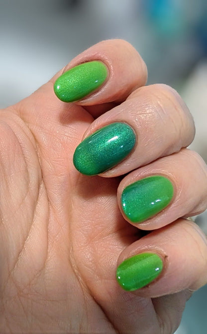 Algae Bloom