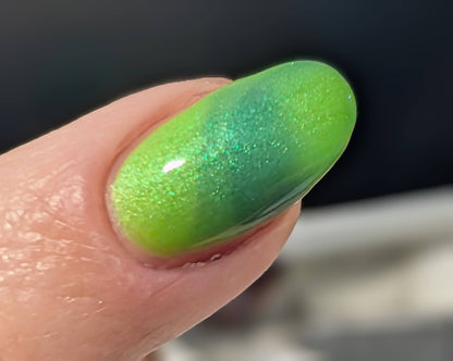 Algae Bloom