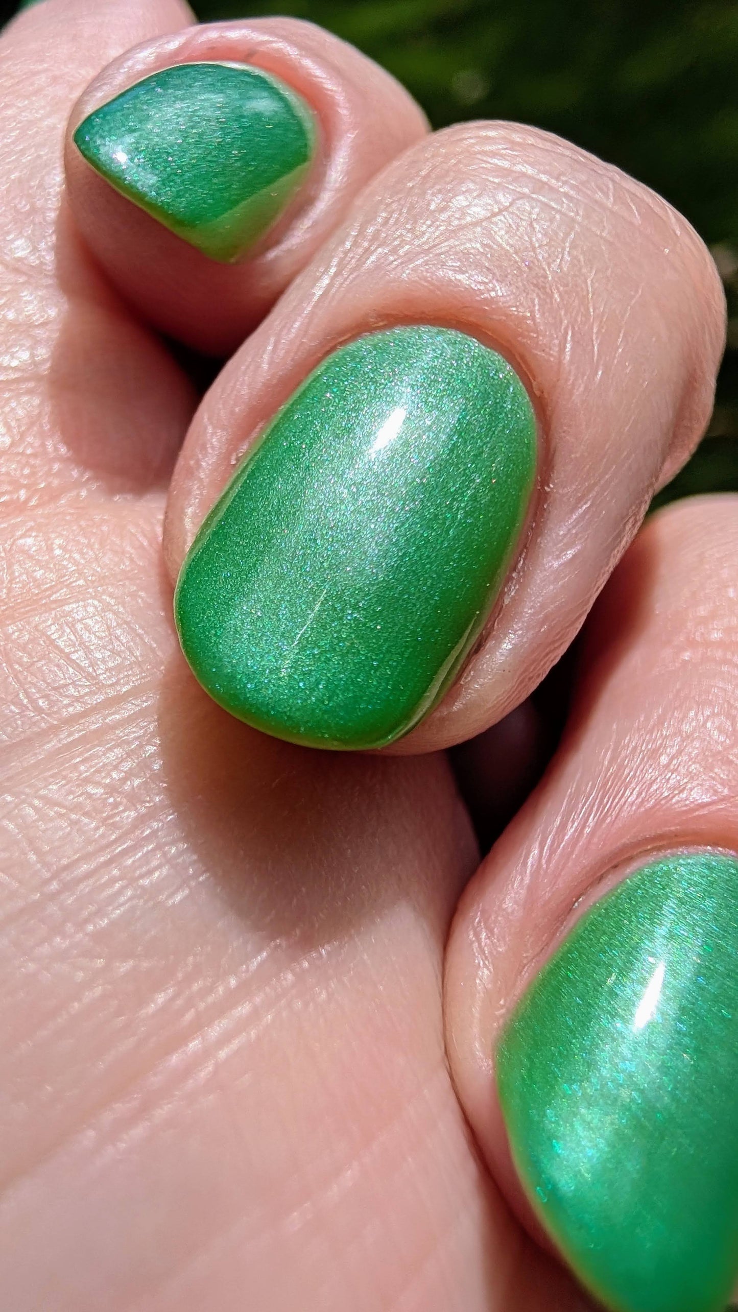 Algae Bloom