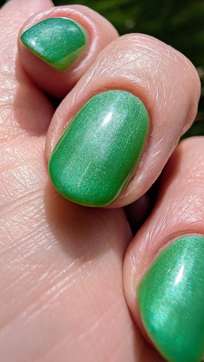 Algae Bloom