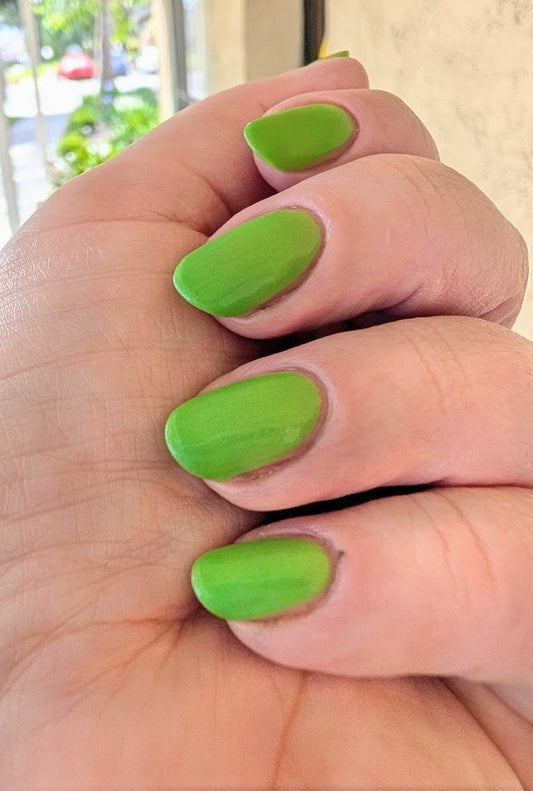 Algae Bloom