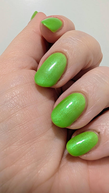 Algae Bloom