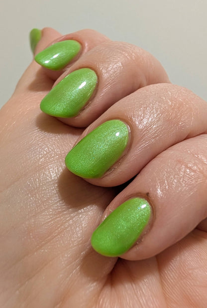Algae Bloom