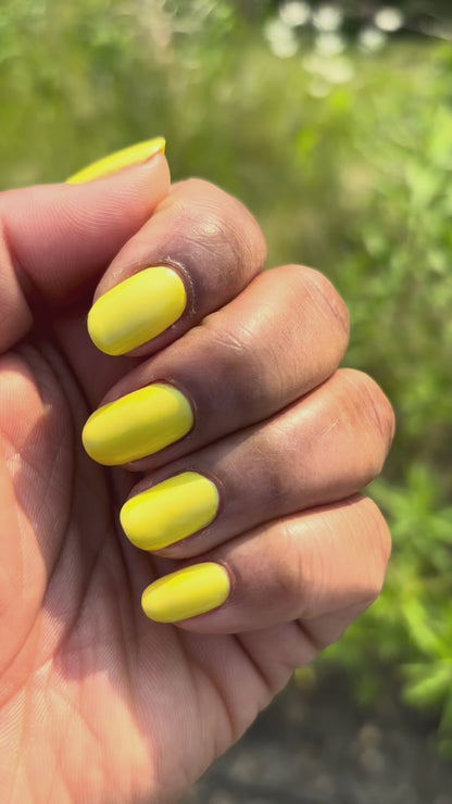 Tilting At Windmills